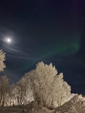 Northern Light in Tromsø.jpg